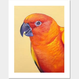 Sun Conure - bird portrait painting Posters and Art